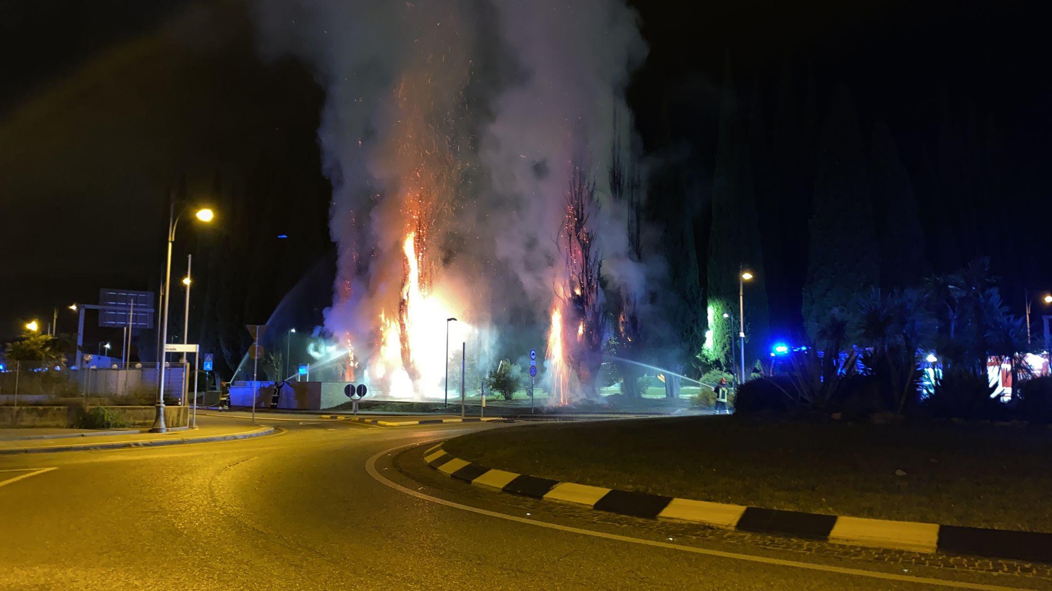 Copertina per Incendio a catena nell'ex cimitero a Monfalcone, alberi in fiamme